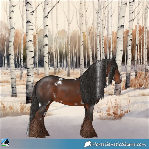 Horse Color:White Spotted Liver Chestnut Sabino Rabicano 