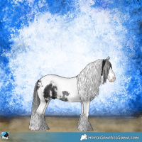Horse Color:White Spotted Liver Chestnut Ice Splash Tobiano Rabicano