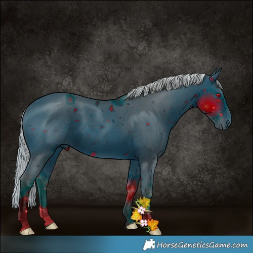 Horse Color:ERROR: UNKNOWN ANOMALY