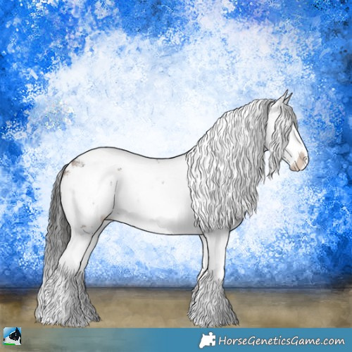 Horse Color:Liver Red Dun Sabino Splash Rabicano 