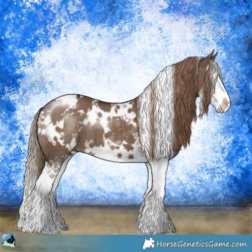 Horse Color:White Spotted Liver Red Dun Sabino Splash Brindle 