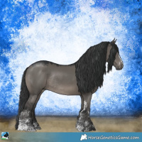 Horse Color:Grullo Mushroom Sabino Rabicano 