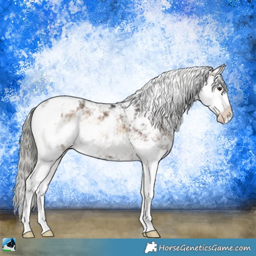 Horse Color:Liver Red Onyx Mushroom Sabino Brindle 