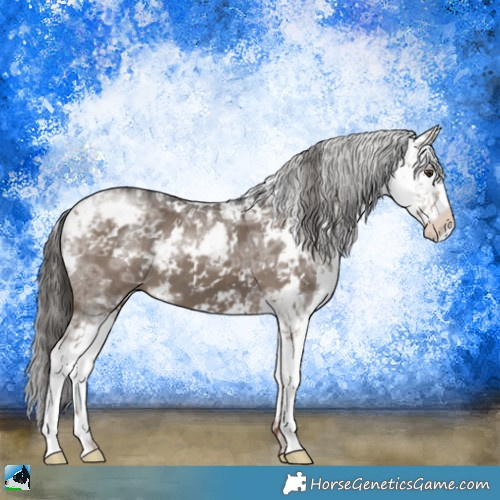 Horse Color:Liver Red Dun Ice Sabino Brindle 