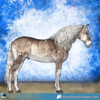 Horse Color:White Spotted Liver Red Dun Onyx Mushroom Brindle 