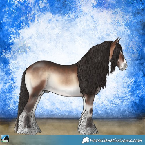 Horse Color:Bay Onyx Mushroom Sabino Rabicano 