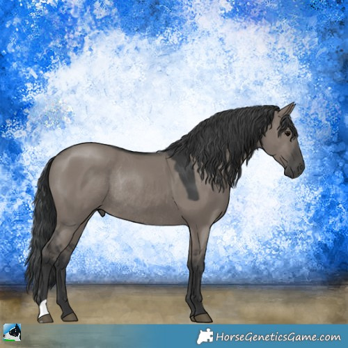 Horse Color:Grullo Rabicano 