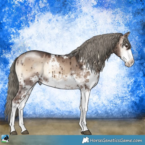 Horse Color:Liver Red Dun Onyx Mushroom Sabino Rabicano Brindle 