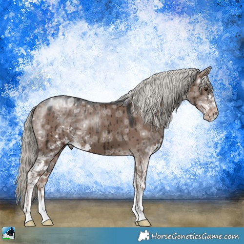 Horse Color:Liver Red Dun Ice Mushroom Sabino Brindle 