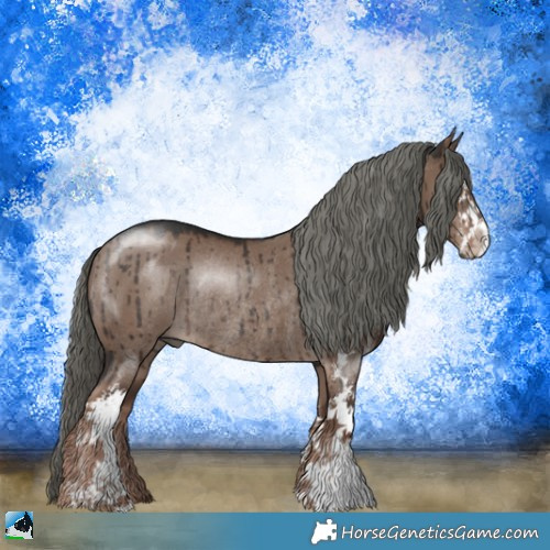 Horse Color:Liver Red Dun Mushroom Sabino Rabicano Brindle 