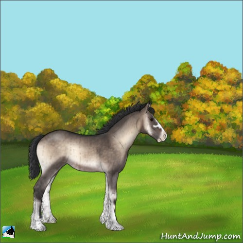 Horse Color:Brown Onyx Mushroom Sabino Rabicano Brindle 