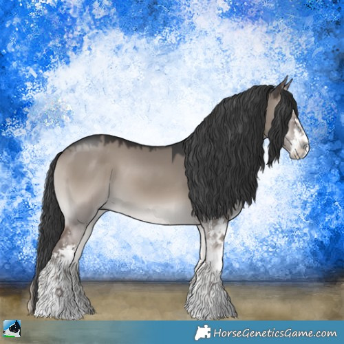 Horse Color:Grullo Onyx Mushroom Sabino 