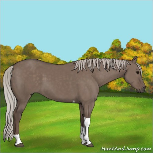 Horse Color:Silver Grullo Tobiano 