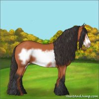 Horse Color:Bay Frame 