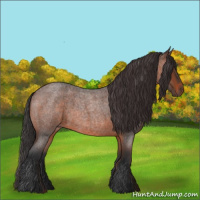 Horse Color:Brown Roan
