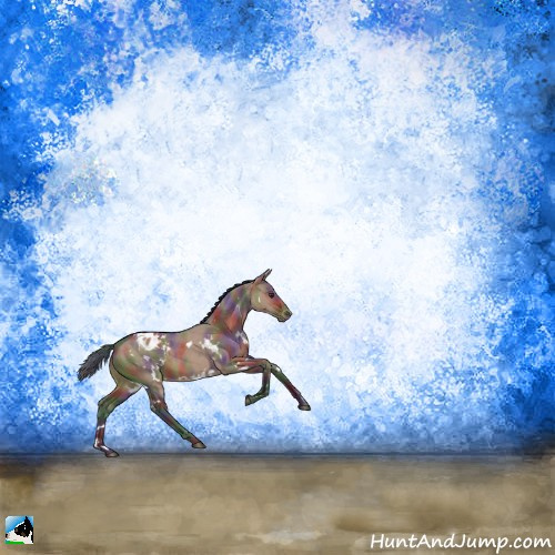 Horse Color:Nacre White Spotted Liver Red Dun Appaloosa Rabicano 