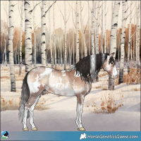 Horse Color:White Spotted Sable Champagne Onyx Sabino Rabicano 
