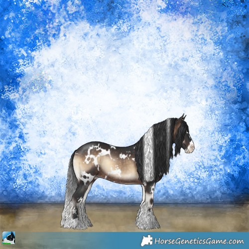 Horse Color:White Spotted Brown Onyx Sabino Rabicano 