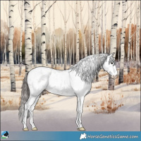 Horse Color:Classic Champagne Sabino Rabicano