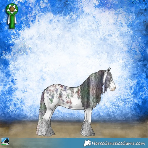 Horse Color:Nacre Brown Sabino Rabicano 