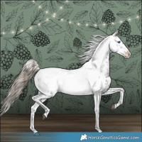 Horse Color:Liver Chestnut Frame 