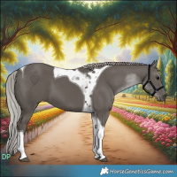 Horse Color:Silver Black Tobiano 