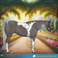 Horse Color:Silver Black Tobiano