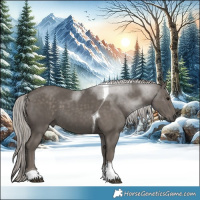 Horse Color:Silver Black Tobiano