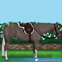 Horse Color:Silver Black Tobiano 