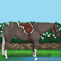 Horse Color:Silver Black Tobiano 
