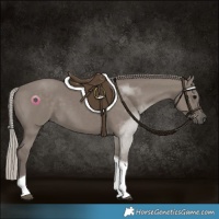 Horse Color:Silver Grullo Tobiano 