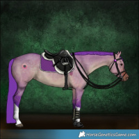 Horse Color:Watercolor Brown Dun Tobiano Rabicano