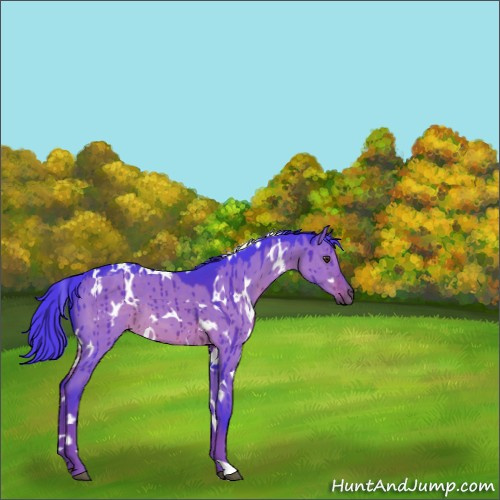 Horse Color:Watercolor White Spotted Liver Red Dun Brindle 