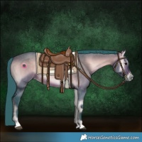 Horse Color:Watercolor Brown Onyx Rabicano 