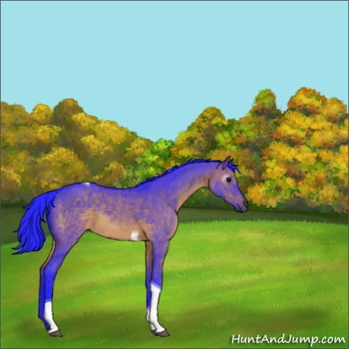Horse Color:Gray Watercolor Brown Dun Tobiano Rabicano 