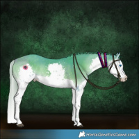 Horse Color:Watercolor White Spotted Chocolate Buckskin Onyx Splash 
