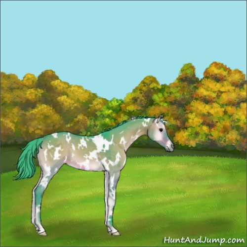 Horse Color:Watercolor White Spotted Brown Onyx 
