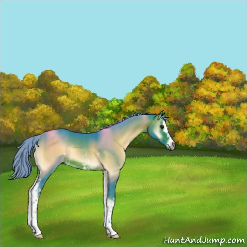 Horse Color:Watercolor White Spotted Brown Onyx 