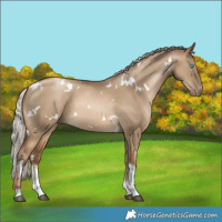 Horse Color:White Spotted Silver Grullo Snowdrop Pearl Tobiano 