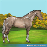 Horse Color:White Spotted Silver Grullo Pearl Tobiano 