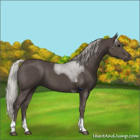 Horse Color:Silver Black Tobiano