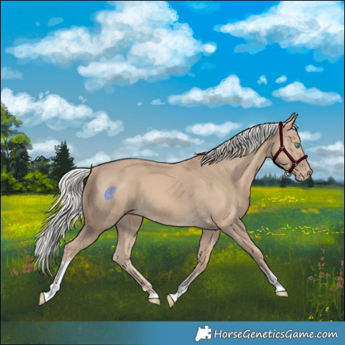 Horse Color:Silver Smoky Creme Tobiano 