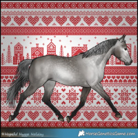 Horse Color:Gray Grullo