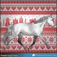 Horse Color:Gray Grullo 