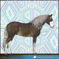 Horse Color:White Spotted Silver Buckskin