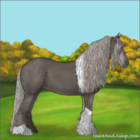 Horse Color:Silver Black Tobiano