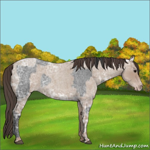 Horse Color:Blue Ice Roan  and Classic Champagne Ice Roan 