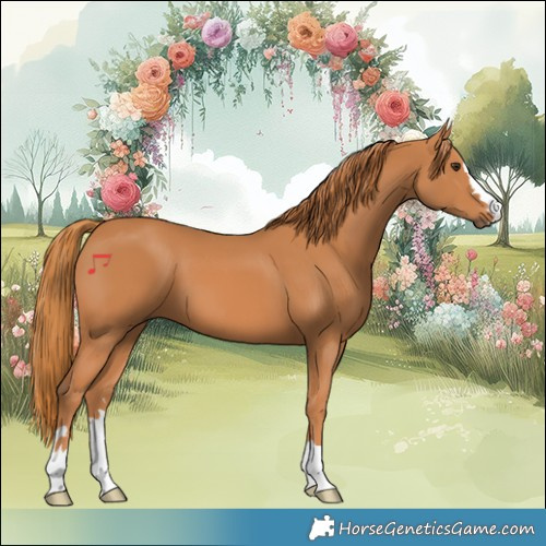 Horse Color:Chestnut 