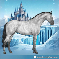 Horse Color:Blue Ice Roan  and Blue Ice Roan 
