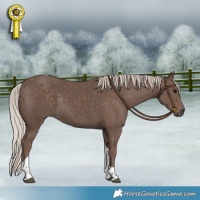 Horse Color:Silver Black Tobiano 